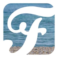 fully 's account image