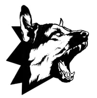 Dog Section 's account image