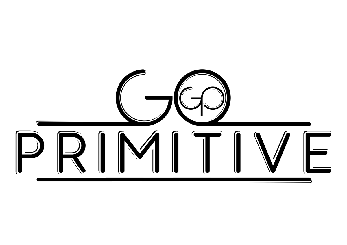 Go Primitive