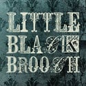 / little black brooch