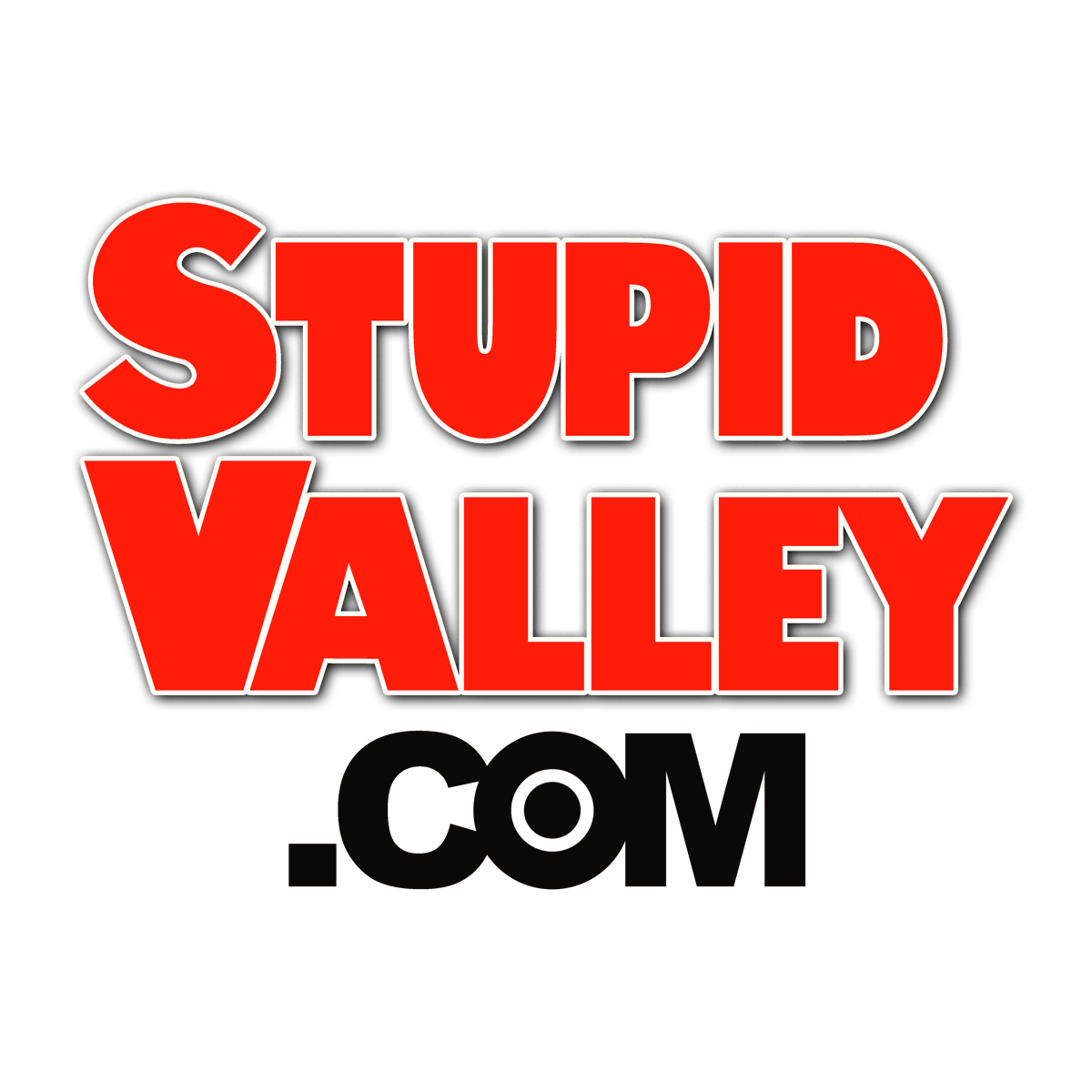 home-stupid-valley