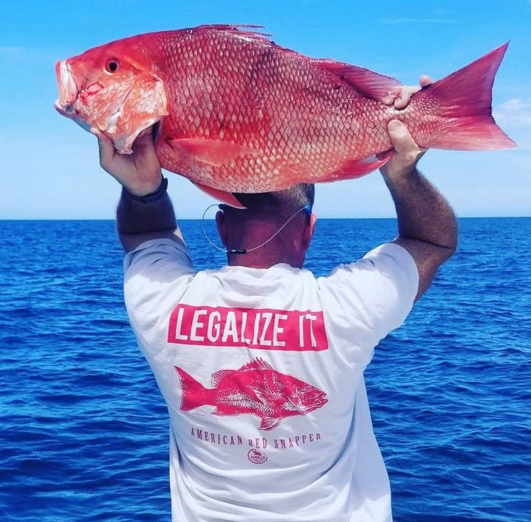 Home  Legalize Red Snapper Fishing