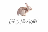 Little Willow Rabbit's account image