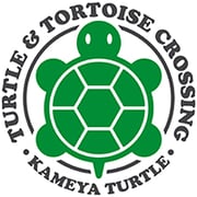 turtlecrossing.bigcartel.com