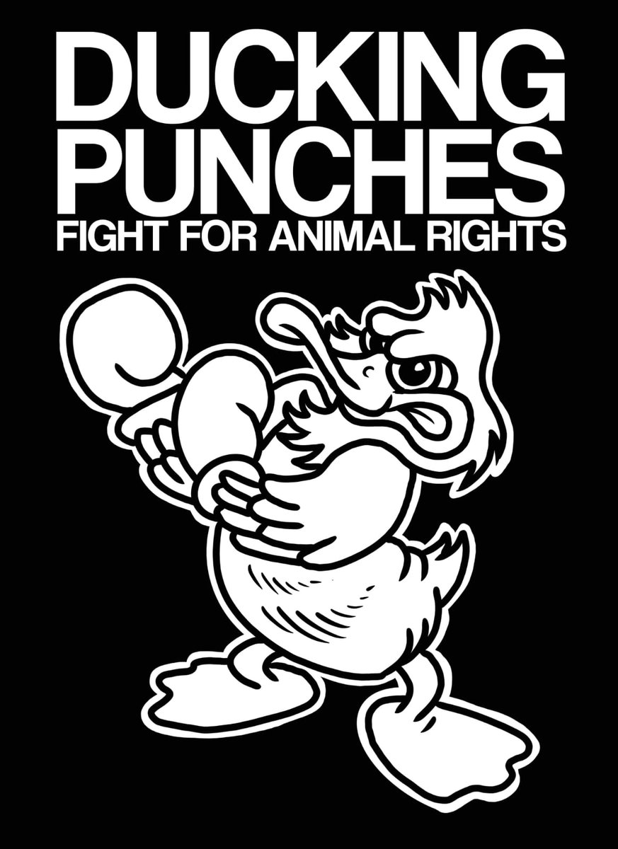 Ducking Punches — Home