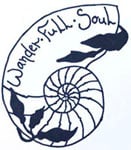 Wander Full Soul's account image