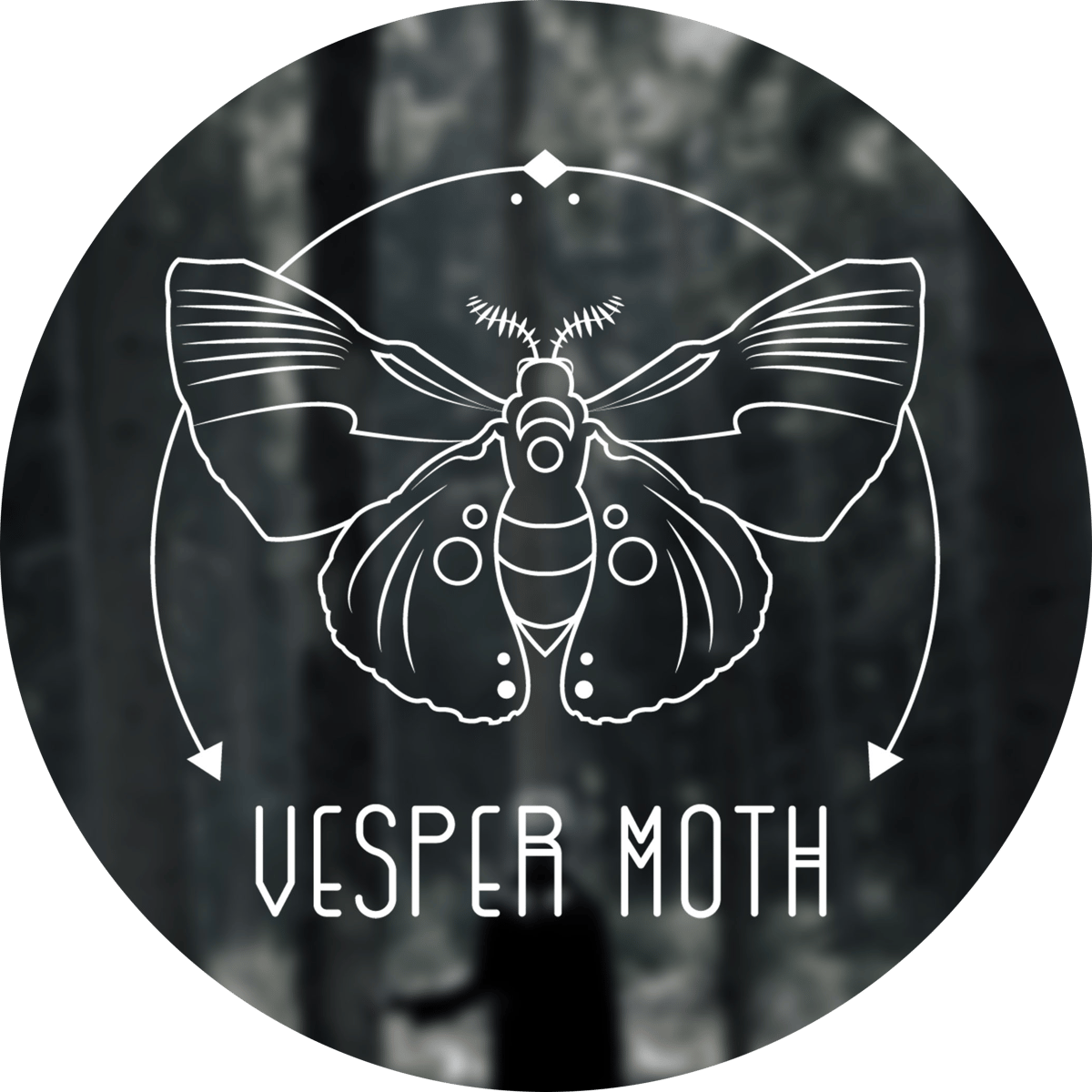 About | Vesper Moth