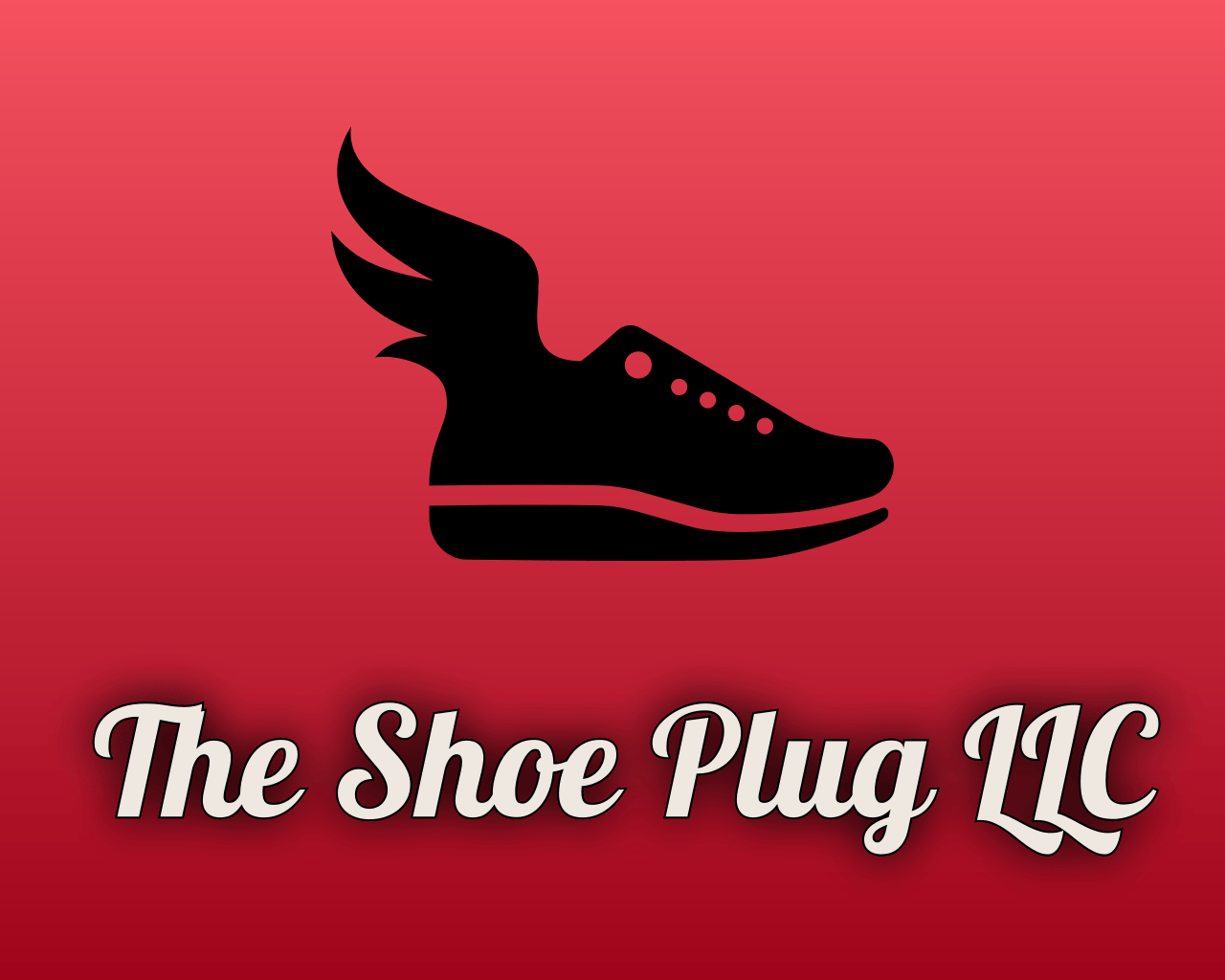 the shoe plug