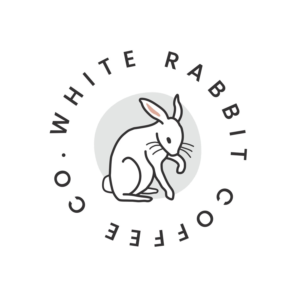 Home | White Rabbit Coffee Co.