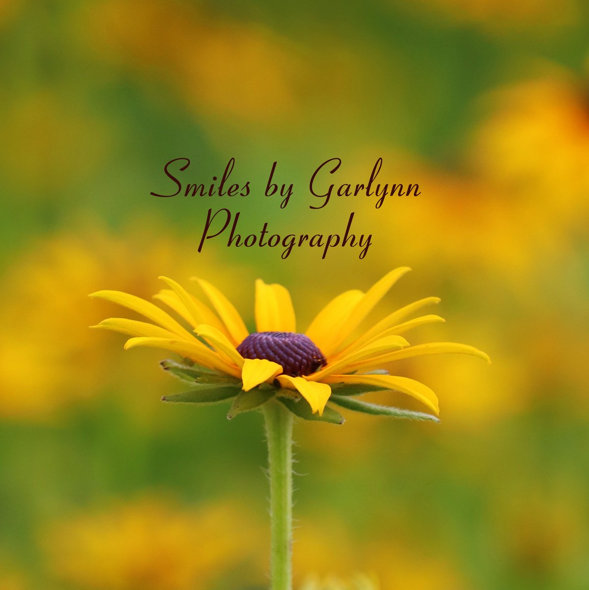 Smiles by Garlynn Photography