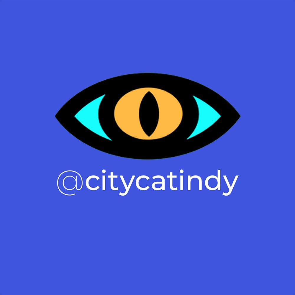 Citycatindy
