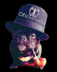 THEOVYBE's account image