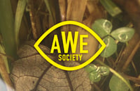 Awe Society's account image