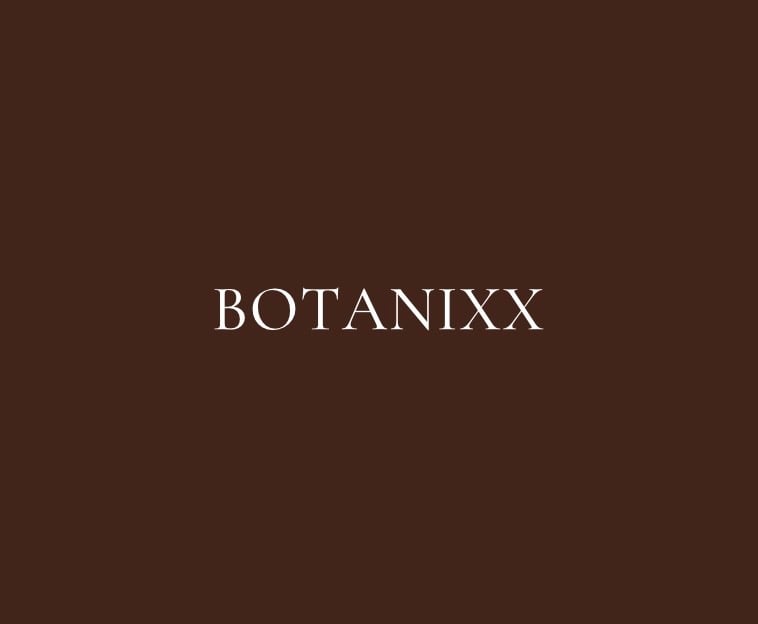 BOTANIXX NATURAL SKINCARE's account image
