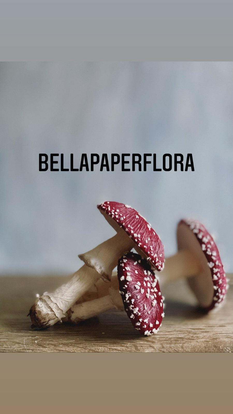Bellapaperflora's account image