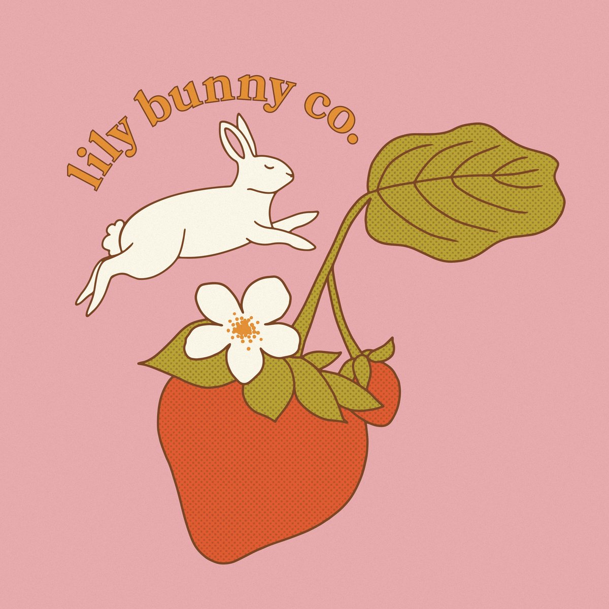 Maintenance lily bunny co.
