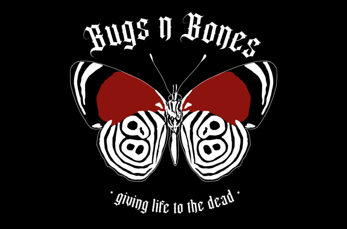 Shipping info bugs n bones
