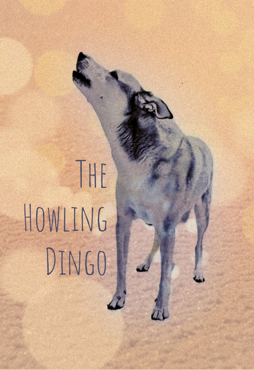 Home | The Howling Dingo