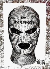 Plug Skateboards 's account image