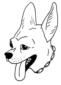 Bad Dog Books's account image