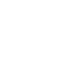 STUNNERS AND STONERS LLC. 's account image