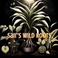 Sair's Wild Roots's account image