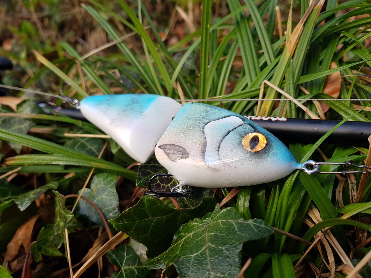 Home  lookers lures