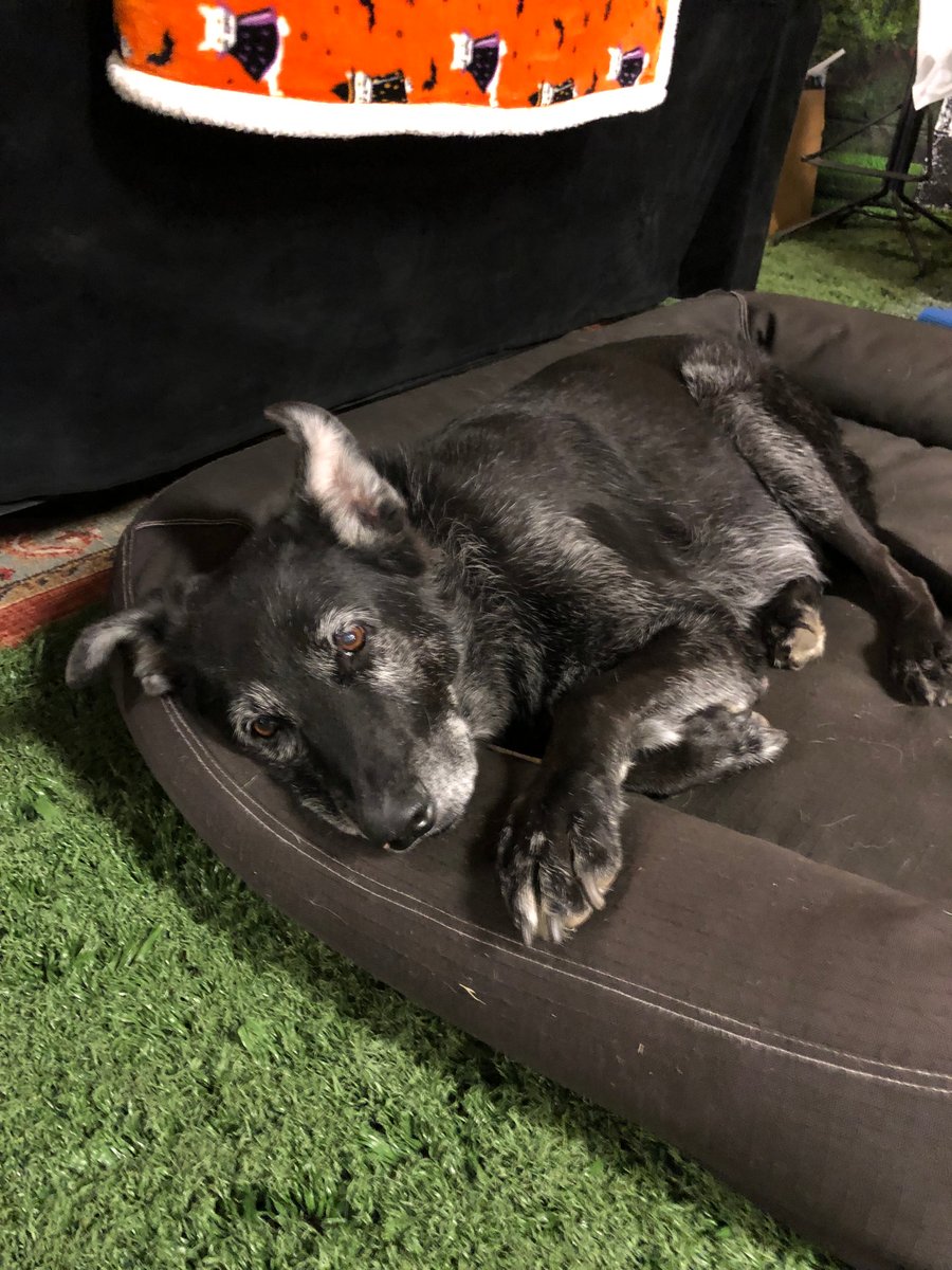 Moving Mountains Tattoo Collective