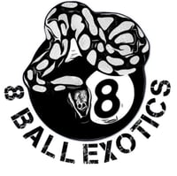 8 Ball Exotics Canada's account image