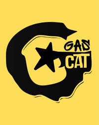 Gas Cat's account image