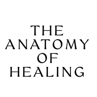 THE ANATOMY OF HEALING's account image