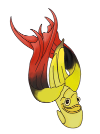 Bananafish Plaza's account image