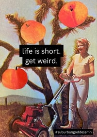 SuburbanGoddessMN's account image