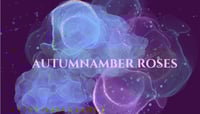 Autumn Amber Rose Moon's account image