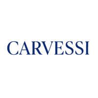 carvessi's account image