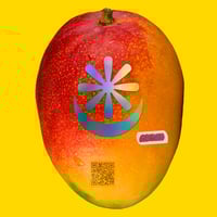 rodín botiga's account image