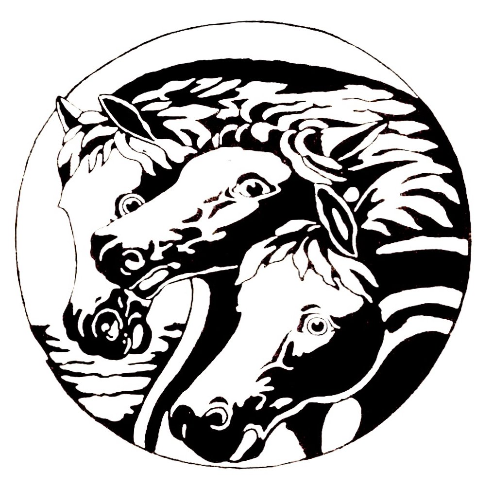 ChinaCatClothing