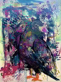 K.L.Dandelion 's account image