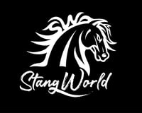 stangworld's account image