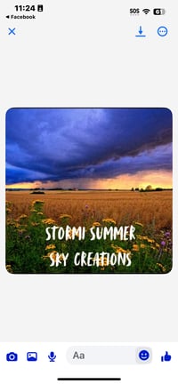 Stormi Summer Sky Creations and Art's account image