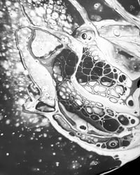 WBNU Glass's account image