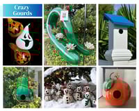 Crazy Gourds & The Fence Toppers!'s account image