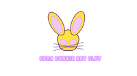 esra bunnie art slut studio's account image