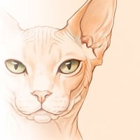 Promari's account image