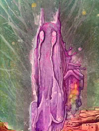 The Stardust & Curio Co. 's account image