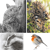 Rebecca Findlay Artist's account image