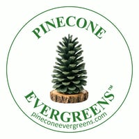 PINECONE EVERGREENS's account image
