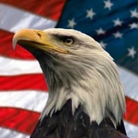 Ancient Forge 's account image