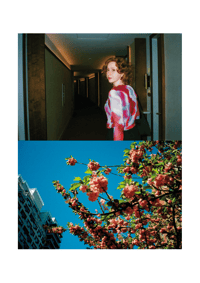 Noah Eberhart - Photographer's account image