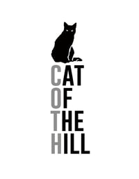 Cat of the Hill 's account image